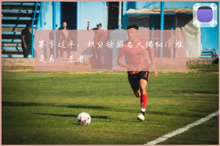 赛季过半,积分榜排名大揭秘,谁是真·王者